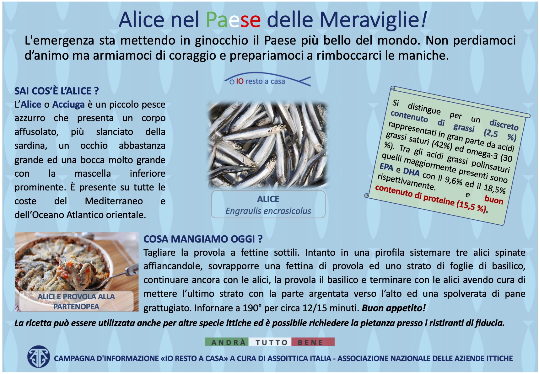 8 Campagna Assoittica per Coronavirus Alice